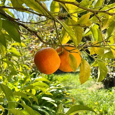Βίλα Ravissante Maison A St Paul De Vence